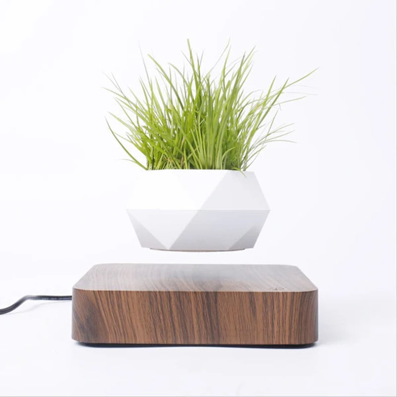 Levitating Air Bonsai Pot with Magnetic Suspension for Floating Plants - Elegant Desk Decor Planter