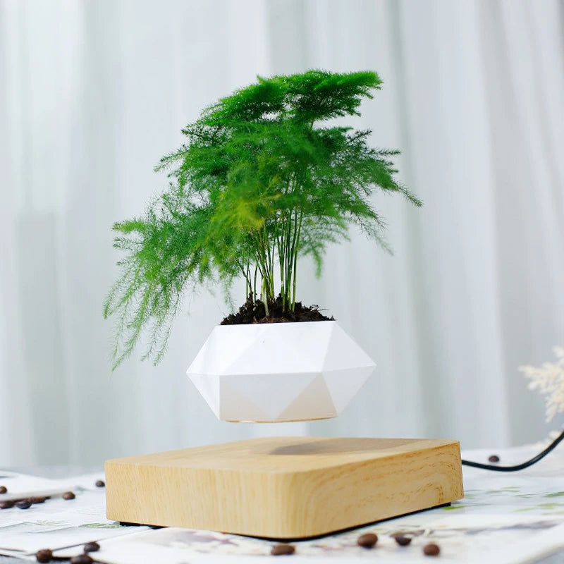 Levitating Air Bonsai Pot with Magnetic Suspension for Floating Plants - Elegant Desk Decor Planter