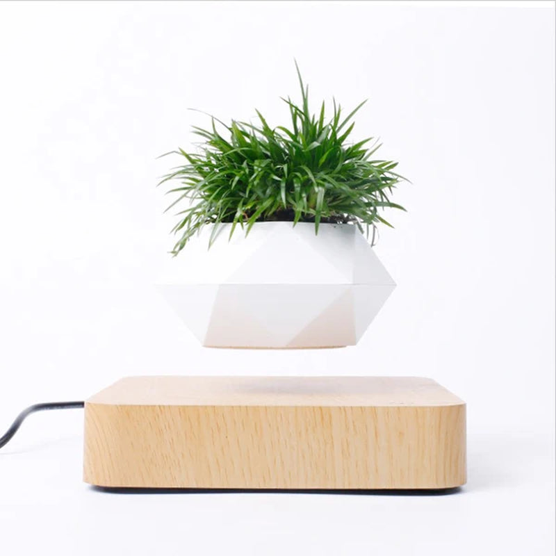 Levitating Air Bonsai Pot with Magnetic Suspension for Floating Plants - Elegant Desk Decor Planter